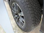 2023 Chevrolet Silverado 1500 Crew Cab 4WD Pickup for sale #CA15457 - photo 6