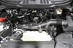 2024 Ford F-150 SuperCrew Cab 4x4 Pickup for sale #F2903 - photo 24