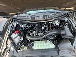 New 2025 Ford F-150 XLT SuperCrew Cab 4x4 Pickup for sale #F43299 - photo 8