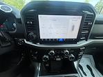 New 2025 Ford F-150 XLT SuperCrew Cab 4x4 Pickup for sale #F43299 - photo 12