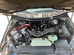 2025 Ford F-150 SuperCrew Cab 4x4 Pickup for sale #F43302 - photo 8