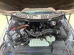 New 2025 Ford F-150 XLT SuperCrew Cab 4x4 Pickup for sale #F43304 - photo 8