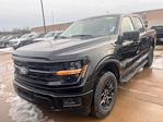 2025 Ford F-150 SuperCrew Cab 4x4 Pickup for sale #F43314 - photo 1