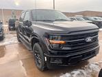 2025 Ford F-150 SuperCrew Cab 4x4 Pickup for sale #F43314 - photo 4