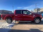 2025 Ford F-150 SuperCrew Cab 4x4 Pickup for sale #F43364 - photo 5