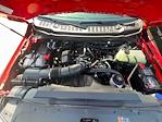 New 2025 Ford F-250 Regular Cab 4x4 Pickup for sale #F43365 - photo 7