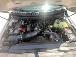 New 2025 Ford F-350 Regular Cab 4x4 SRW Pickup for sale #F43667 - photo 7