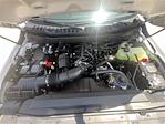 New 2025 Ford F-350 XL Regular Cab 4x4 SRW Pickup for sale #F43667 - photo 7