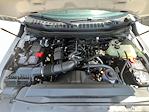 New 2025 Ford F-350 Regular Cab 4x4 SRW Pickup for sale #F43668 - photo 7