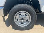 New 2025 Ford F-350 Regular Cab 4x4 SRW Pickup for sale #F43668 - photo 8