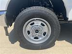 New 2025 Ford F-350 XL Regular Cab 4x4 SRW Pickup for sale #F43668 - photo 8