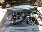 New 2025 Ford F-350 Regular Cab 4x4 SRW Pickup for sale #F43669 - photo 7