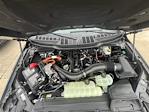 New 2025 Ford F-150 XLT SuperCrew Cab 4x4 Pickup for sale #F43709 - photo 8
