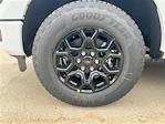 New 2025 Ford F-150 XLT SuperCrew Cab 4x4 Pickup for sale #F43733 - photo 9