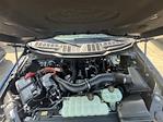 New 2025 Ford F-150 XLT SuperCrew Cab 4x4 Pickup for sale #F43749 - photo 8