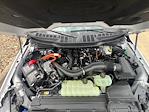 2025 Ford F-150 SuperCrew Cab 4x4 Pickup for sale #F43750 - photo 8
