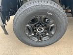 2025 Ford F-250 Crew Cab 4x4 Pickup for sale #F43785 - photo 9