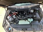 2025 Ford F-150 SuperCrew Cab 4x4 Pickup for sale #F43831 - photo 8