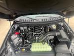 2025 Ford F-150 SuperCrew Cab 4x4 Pickup for sale #F43834 - photo 8