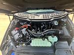 2025 Ford F-150 SuperCrew Cab 4x4 Pickup for sale #F43835 - photo 8