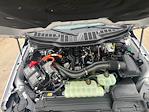 2025 Ford F-150 SuperCrew Cab 4x4 Pickup for sale #F43859 - photo 8