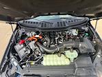 New 2025 Ford F-150 XLT SuperCrew Cab 4x4 Pickup for sale #F43860 - photo 8