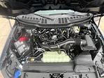 2025 Ford F-150 SuperCrew Cab 4x4 Pickup for sale #F43912 - photo 8
