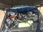 2025 Ford F-150 SuperCrew Cab 4x4 Pickup for sale #F43920 - photo 8