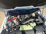 2025 Ford F-150 SuperCrew Cab 4x4 Pickup for sale #F43921 - photo 9