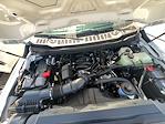 2025 Ford F-550 Regular Cab DRW 4x4 Cab Chassis for sale #F43933 - photo 6