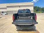 2025 Ford F-150 SuperCrew Cab 4x4 Pickup for sale #F43941 - photo 6