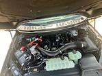 2025 Ford F-150 SuperCrew Cab 4x4 Pickup for sale #F43941 - photo 9