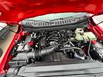 New 2025 Ford F-350 Regular Cab 4x4 Cab Chassis for sale #F43954 - photo 6