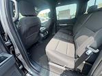 New 2025 Ford F-150 XLT SuperCrew Cab 4x4 Pickup for sale #F43970 - photo 7