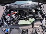 New 2025 Ford F-150 XLT SuperCrew Cab 4x4 Pickup for sale #F43970 - photo 8