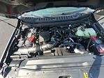 2025 Ford F-250 Crew Cab 4x4 Pickup for sale #F43981 - photo 8