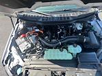 2025 Ford F-150 SuperCrew Cab 4x4 Pickup for sale #F44015 - photo 8