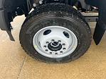 2025 Ford F-600 Regular Cab DRW 4x4 Cab Chassis for sale #F44017 - photo 7