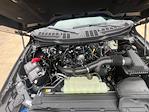 2025 Ford F-150 SuperCrew Cab 4x4 Pickup for sale #F44018 - photo 8
