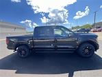 2025 Ford F-150 SuperCrew Cab 4x4 Pickup for sale #F44061 - photo 5
