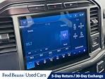 2023 Ford F-150 SuperCrew Cab 4x4 Pickup for sale #F5010D - photo 17