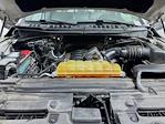 2016 Ford F-150 Super Cab 4WD Pickup for sale #F501371 - photo 29