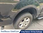 2017 Ford F-150 SuperCrew Cab 4x4 Pickup for sale #F501671 - photo 35