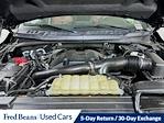 2020 Ford F-150 SuperCrew Cab 4x4 Pickup for sale #F504301 - photo 33