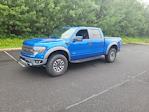 2013 Ford F-150 SuperCrew Cab 4WD Pickup for sale #F504332 - photo 5