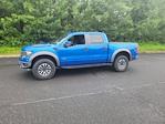 2013 Ford F-150 SuperCrew Cab 4WD Pickup for sale #F504332 - photo 7