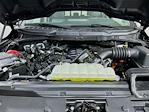 2025 Ford F-150 SuperCrew Cab 4WD Pickup for sale #F505941 - photo 33
