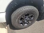 2023 Ford F-250 Super Cab 4WD Pickup for sale #F5113K1 - photo 16