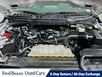 2023 Ford F-150 SuperCrew Cab 4x4 Pickup for sale #F5245K - photo 29