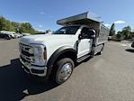2025 Ford F-550 Regular Cab DRW 4WD Landscape Dump for sale #FU5259 - photo 1